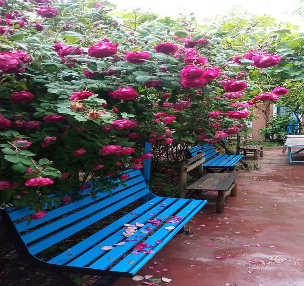 اجاره اقامتگاه بومگردی در جلفا - دکتر ناظمی