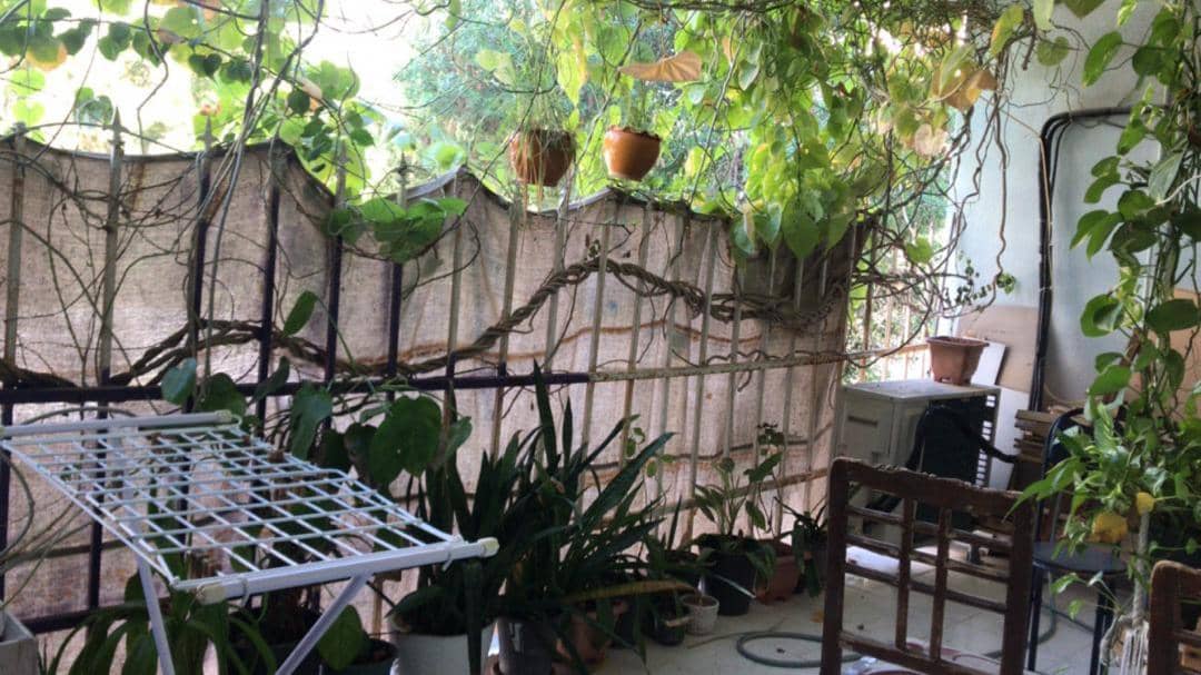 اجاره آپارتمان ساحلی در ولایت بندرعباس