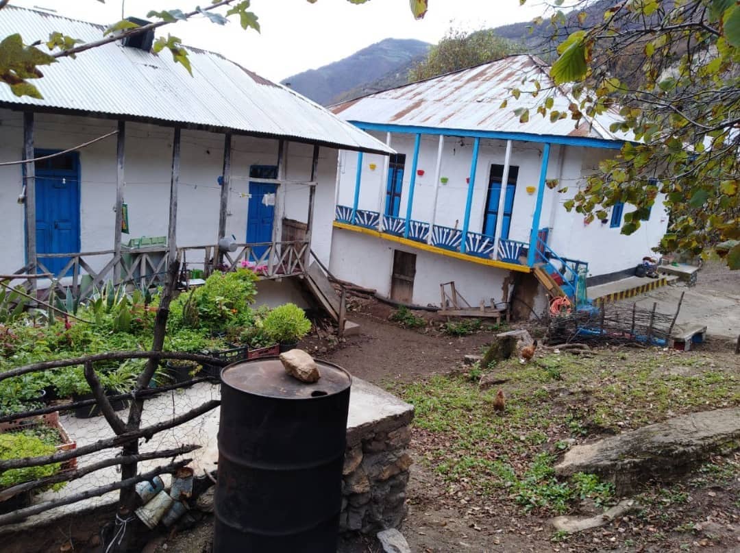 اجاره کلبه سنتی جنگلی در روستای مشاورک رامسر