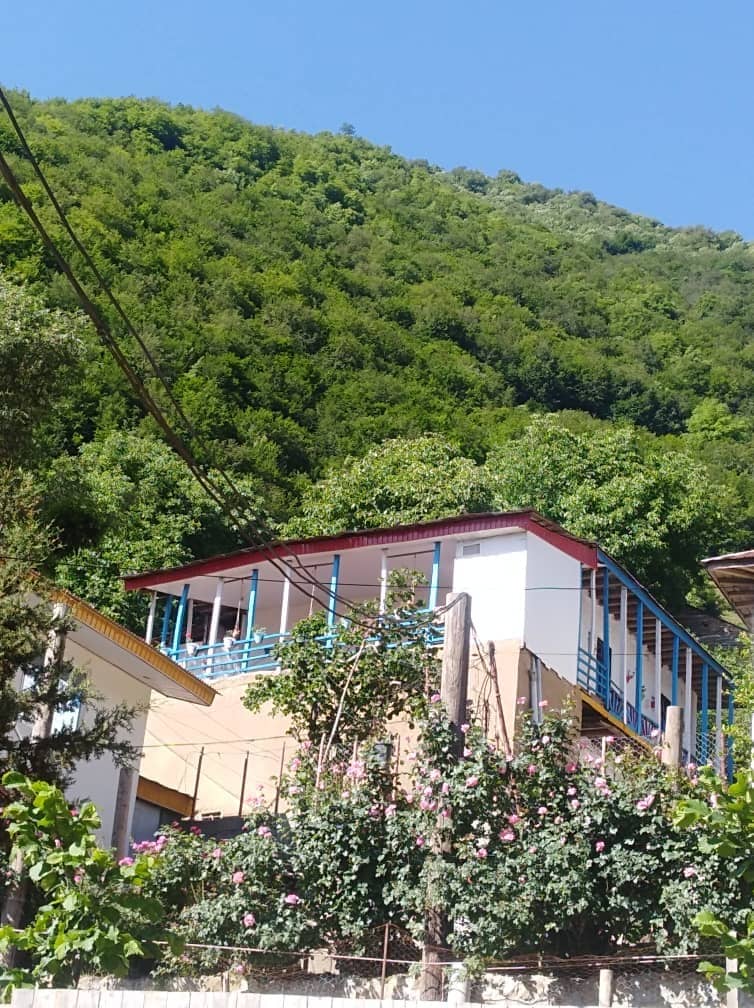 اقامتگاه بومگردی جنگلی در روستای مشاورک رامسر