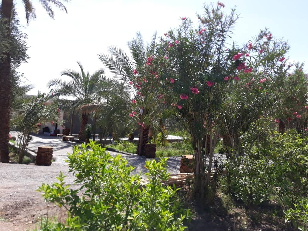 اجاره باغ‌ و ویلا در شهداد کرمان