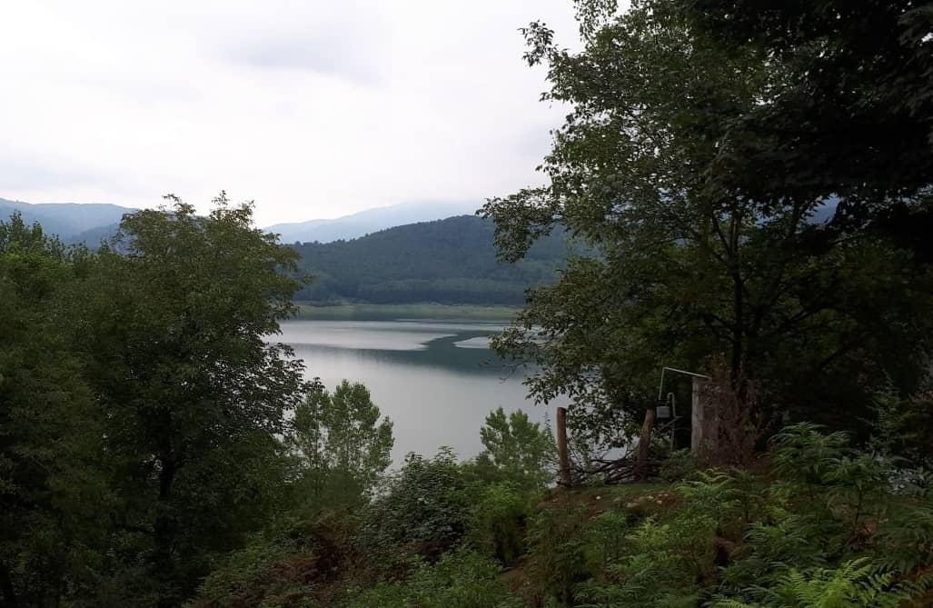 اجاره کلبه جنگلی در شیرگاه - گالشکلا لفور