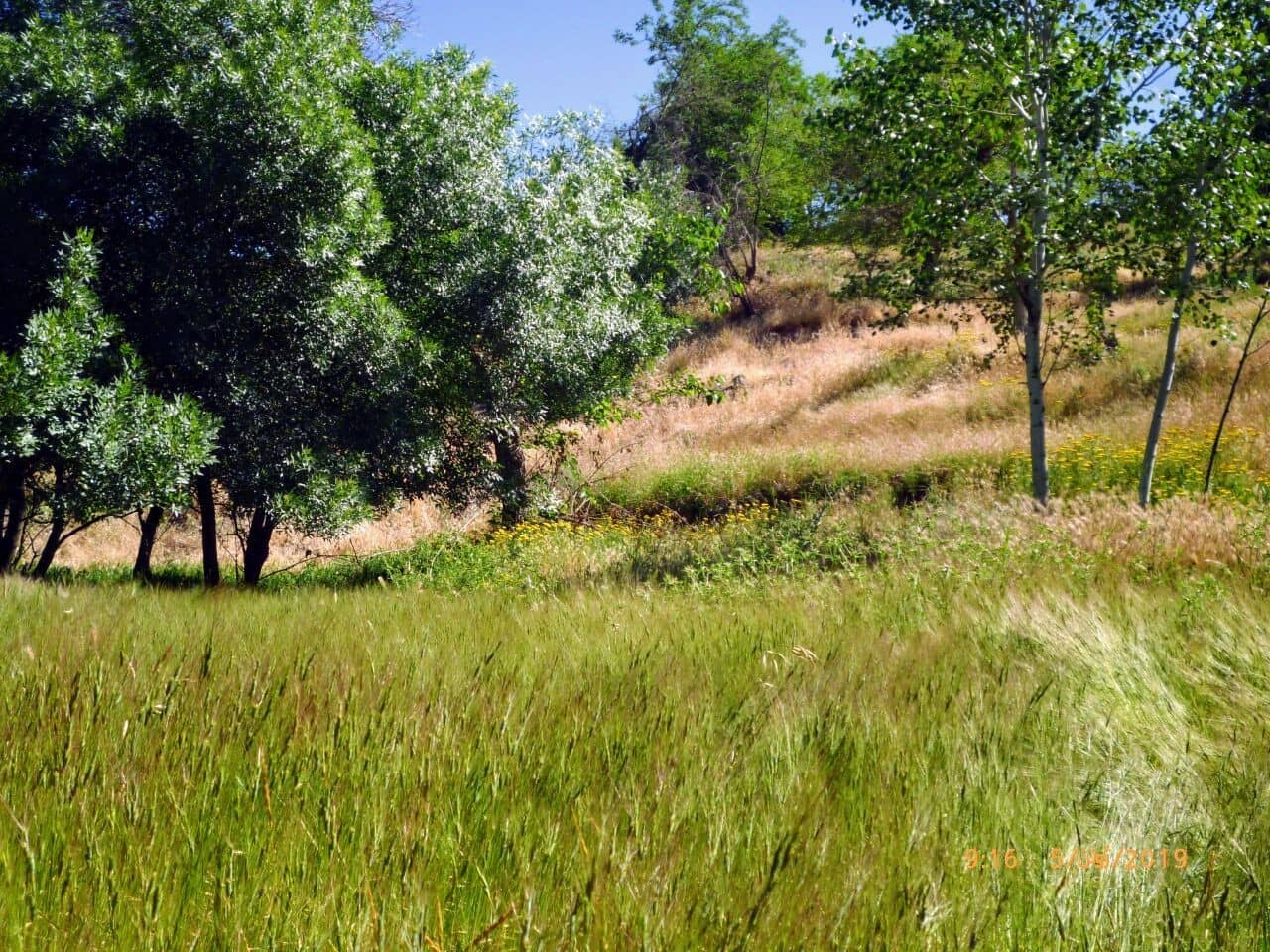 اجاره اتاق سنتی روستای کریز ریوش - 1