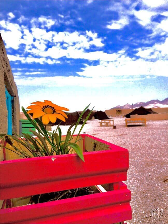 اجاره اقامتگاه بومگردی سنتی و سیاه چادر سنتی در طبس