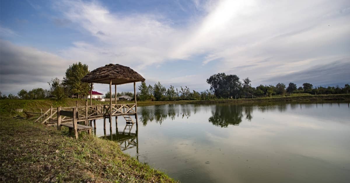 اجاره سوئیت جنگلی در دافسار رشت - دو درخت