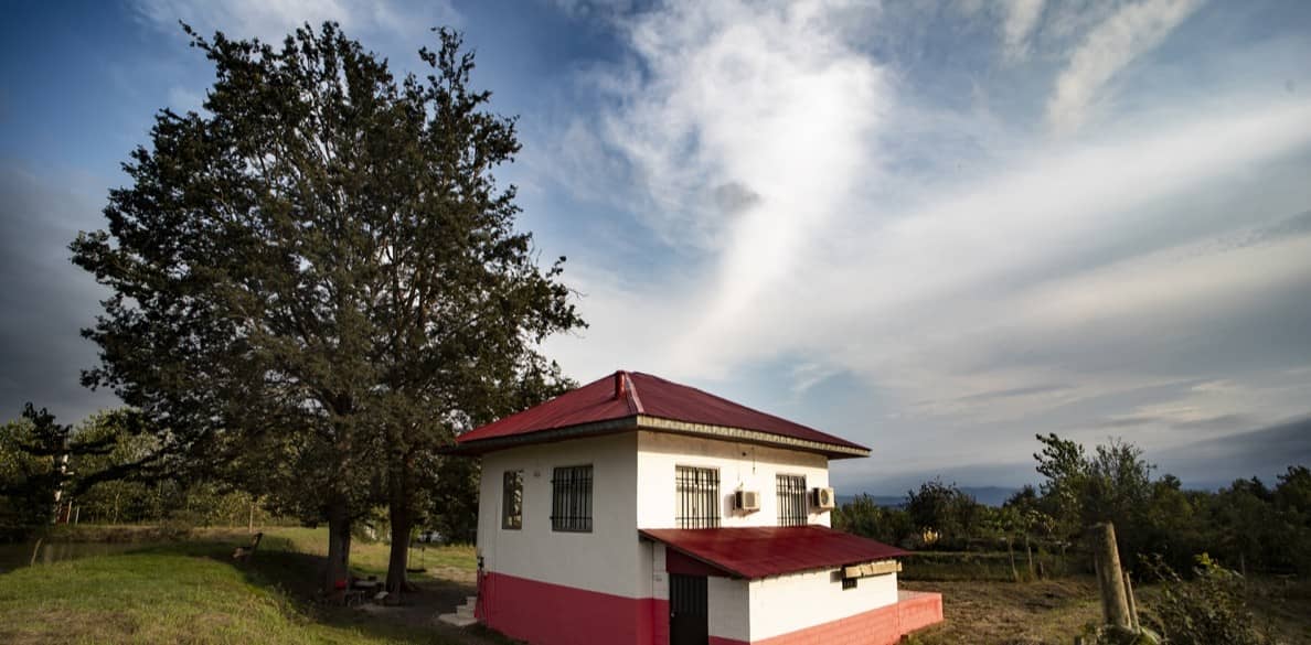 اجاره سوئیت جنگلی در دافسار رشت - دو درخت