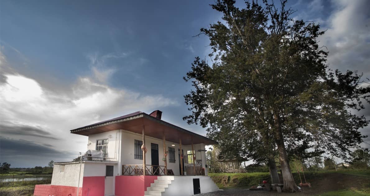 اجاره سوئیت جنگلی در دافسار رشت - دو درخت