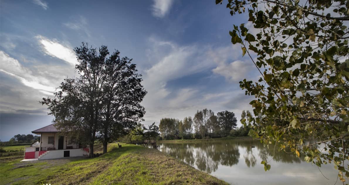 اجاره سوئیت جنگلی در دافسار رشت - دو درخت