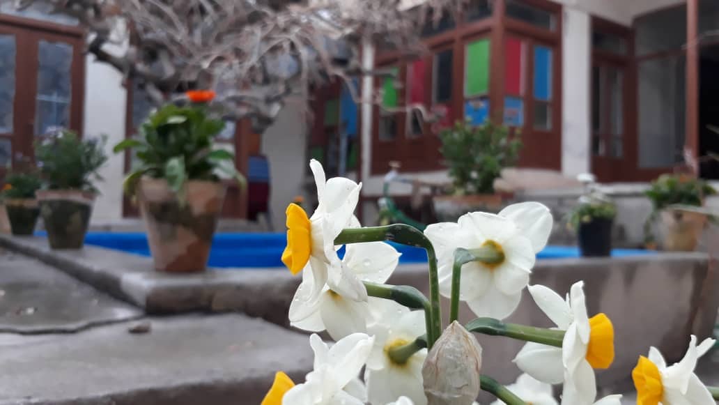 اجاره هاستل ارزان قیمت در مرکز شهر اصفهان 