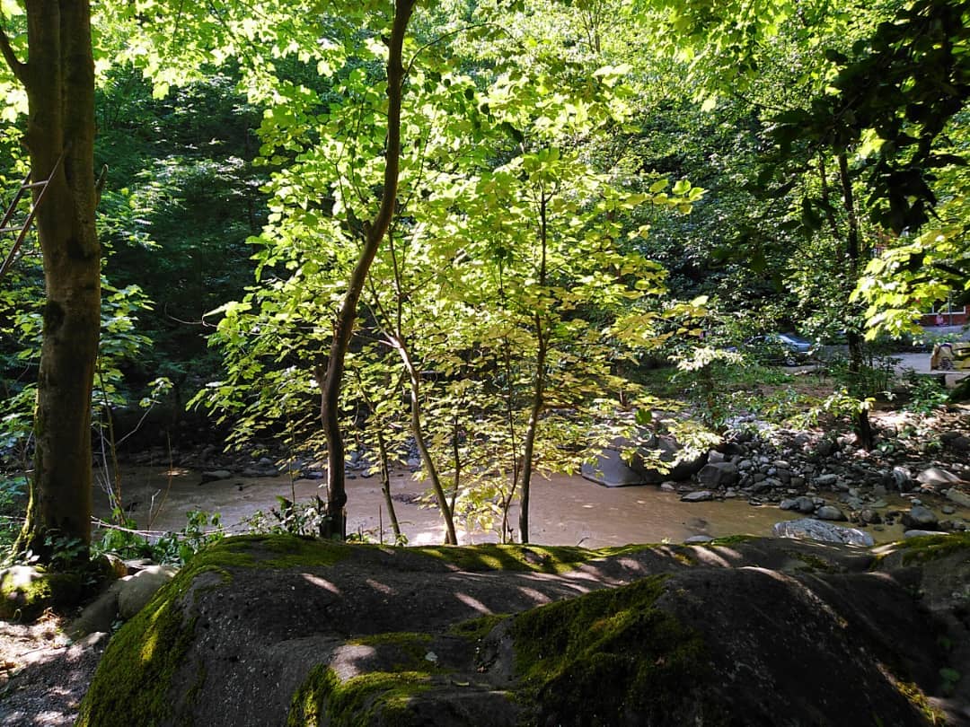 اجاره کلبه چوبی لب رودخانه در اسالم 