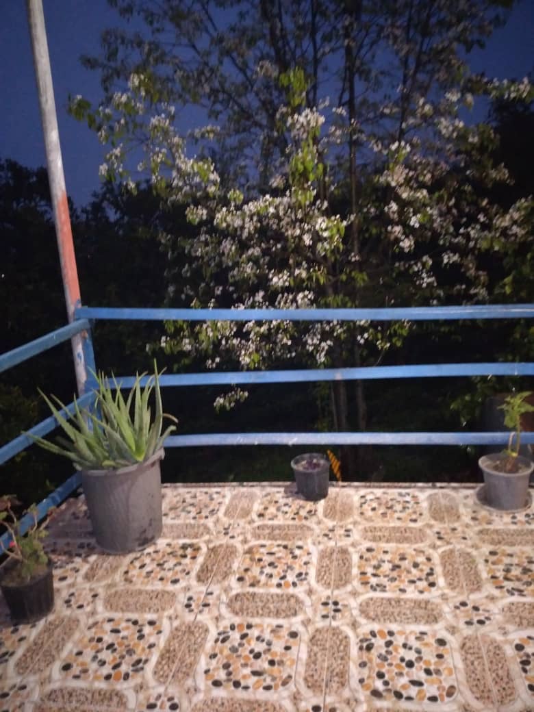 اجاره  ویلا جنگلی در بازنشین رودسر