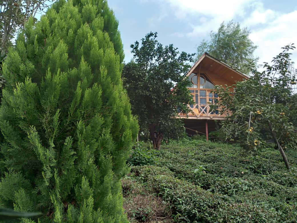 اجاره کلبه چوبی رودسر بخش رحیم آباد