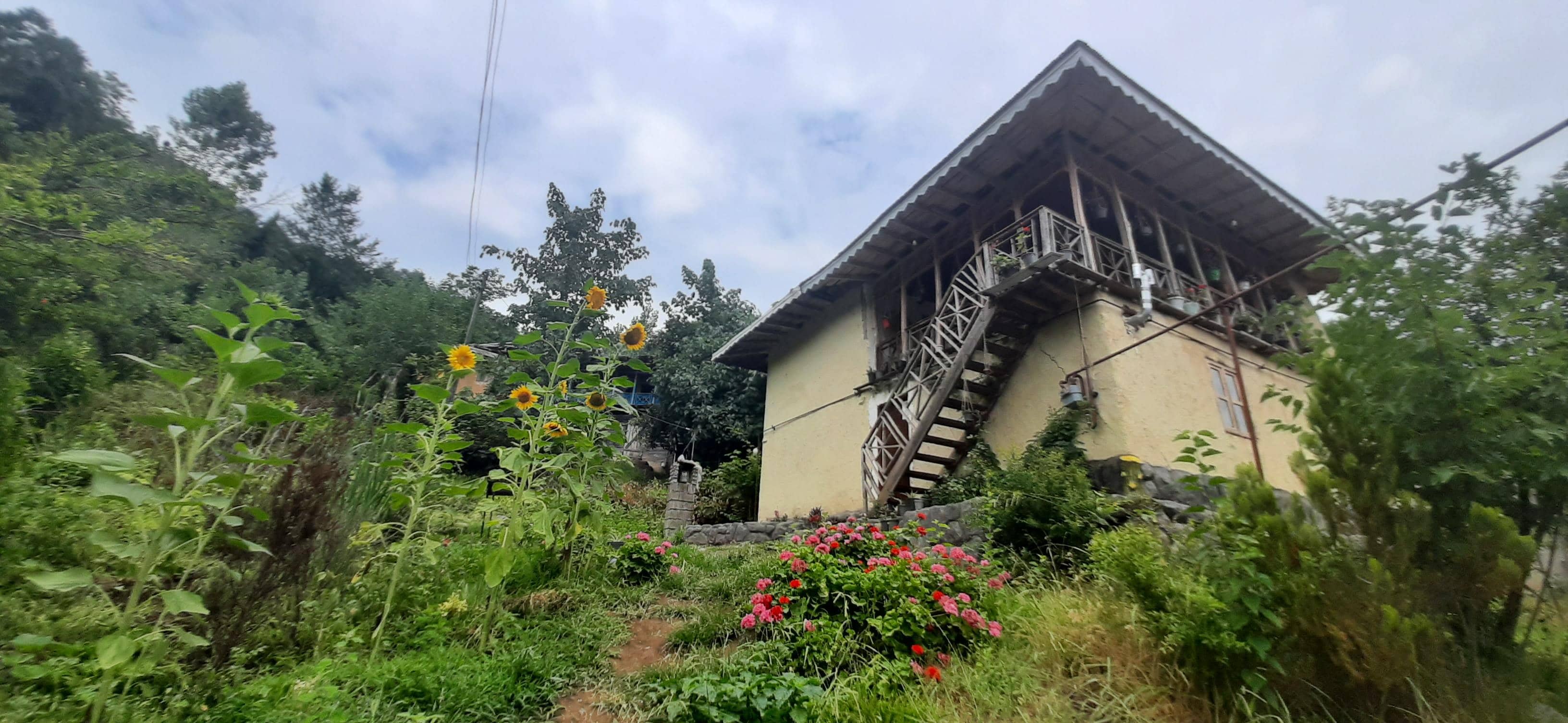 اجاره  اجاره اقامتگاه بومگردی با ویوی جنگل کیاتاج