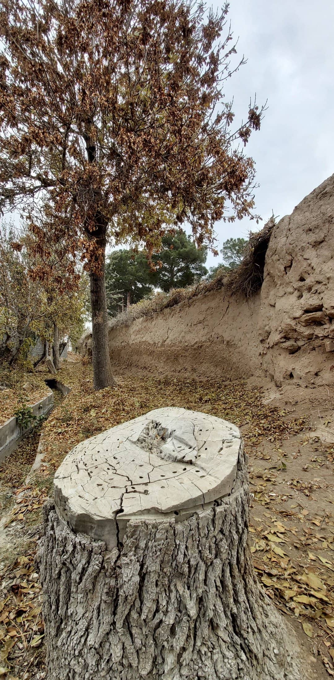 اجاره بومگردی سنتی در بیابانک سرخه - کرسی