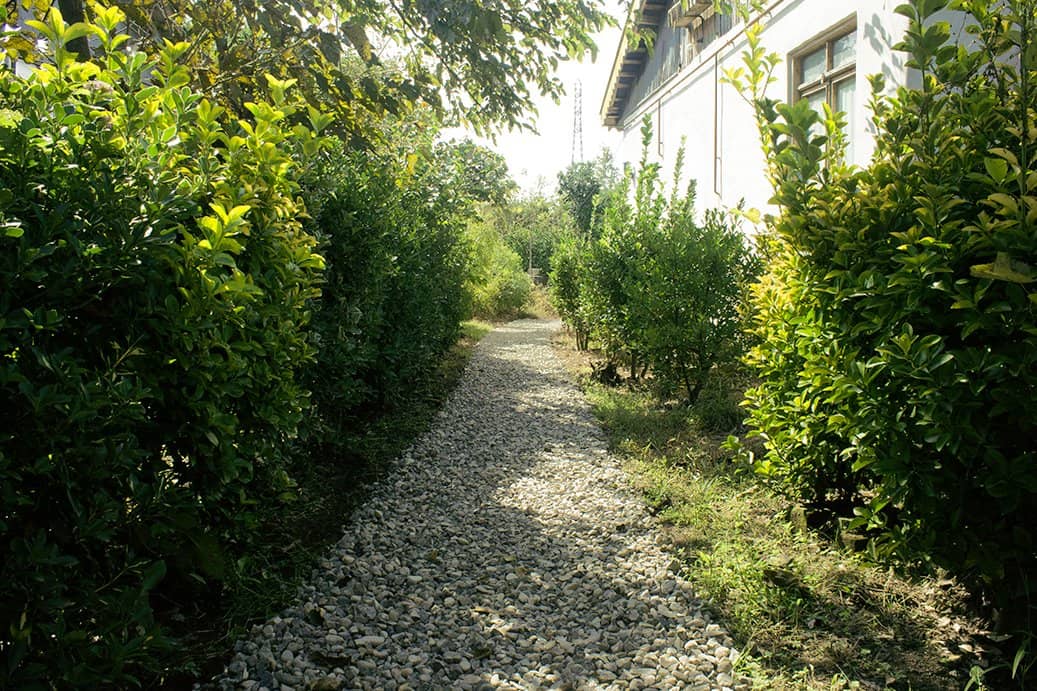 اجاره ویلا نزدیک ساحل در کپورچال رضوانشهر