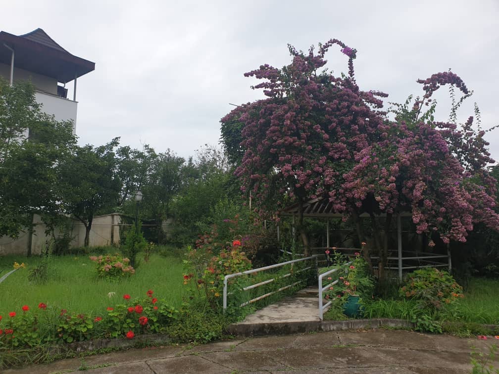 اجاره باغ ویلا جنگلی در بندپی نوشهر