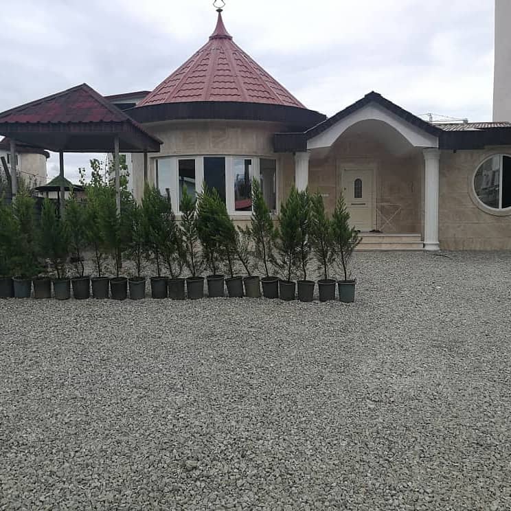 اجاره ویلا با استخر سر پوشیده آبگرم در نمک آبرود - نیلوفر