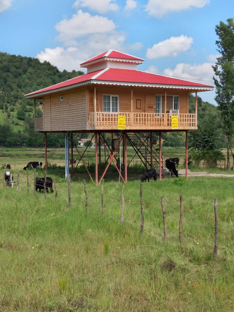 اجاره کلبه چوبی جنگلی در مرکیه ماسال