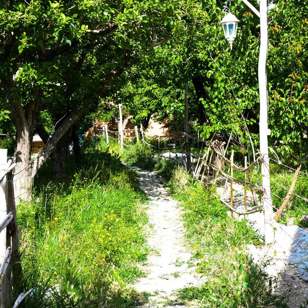 اجاره اتاق بومگردی در درخانیاب مجن