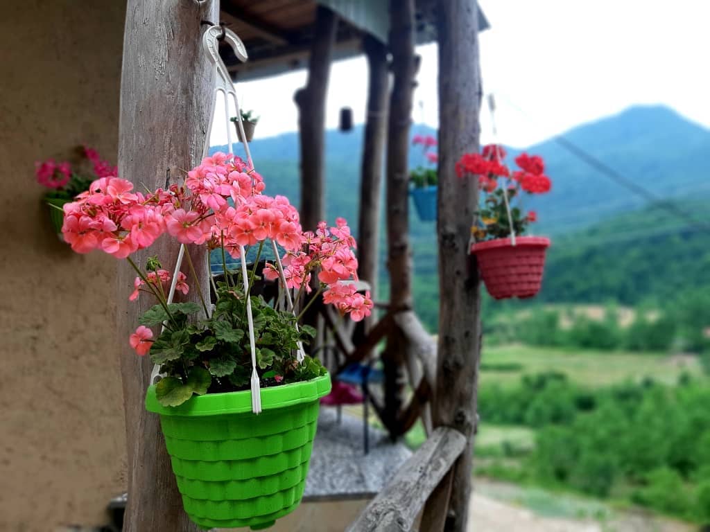 اجاره کلبه جنگلی در روستای  اساس سوادکوه - سرای اساس 1