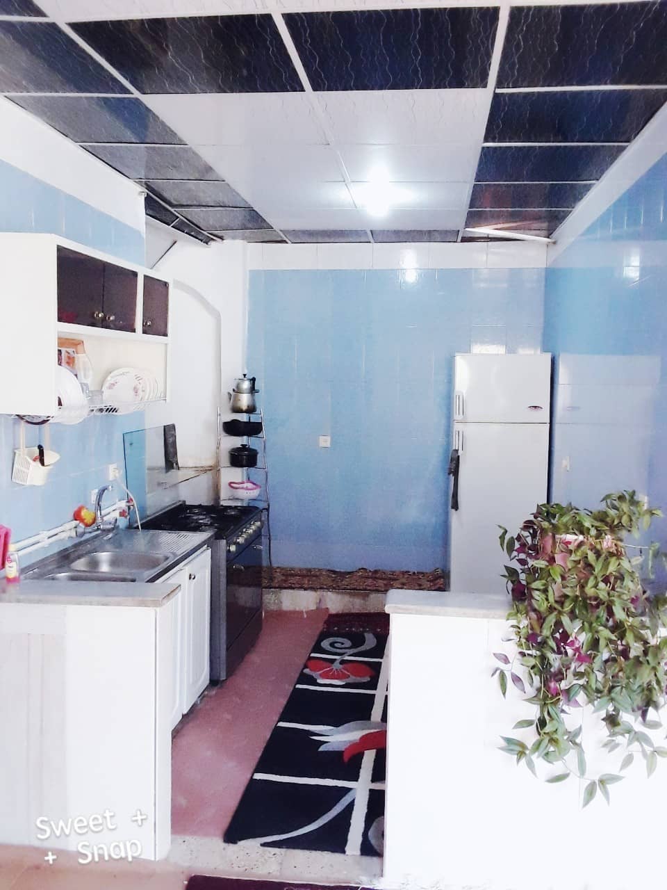 اجاره خانه ویلایی روستایی یک خوابه در هجیج ‌پاوه-همکف