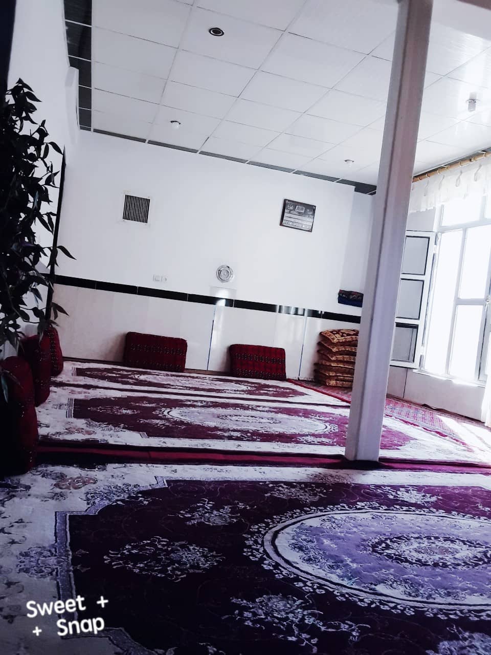 اجاره خانه ویلایی روستایی یک خوابه در هجیج ‌پاوه-همکف