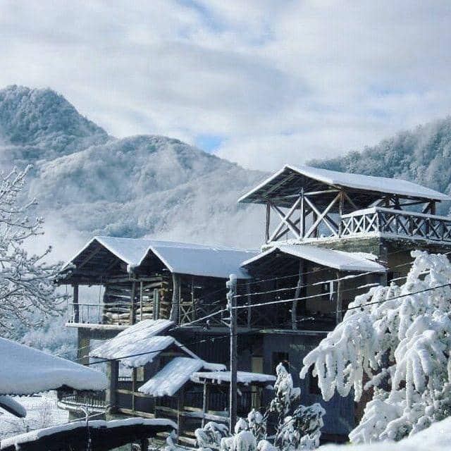 اجاره کلبه جنگلی در اساس پل سفید - شیشه ای