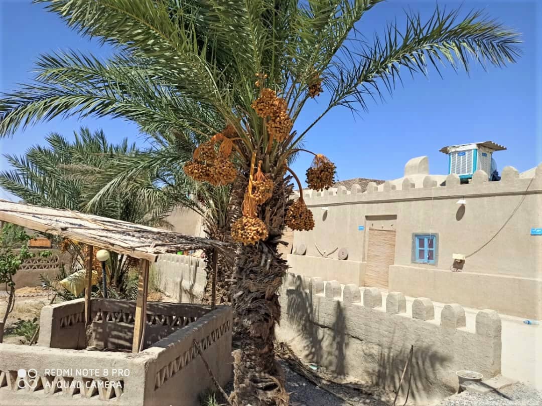 اجاره اتاق سنتی در نیمروز زابل