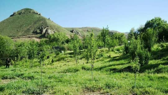 اجاره باغ و ویلا در پرده سر طالقان