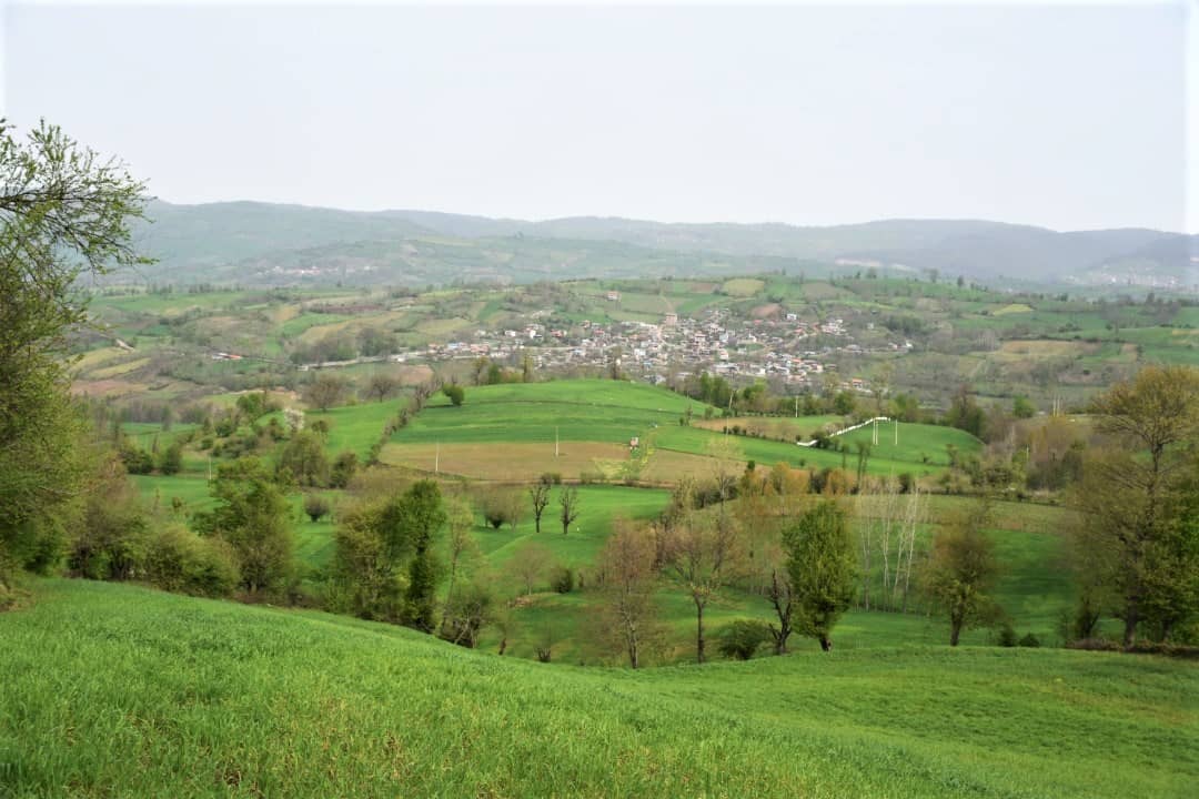 اجاره مهمانپذیر جنگلی در شیرکلا نکا