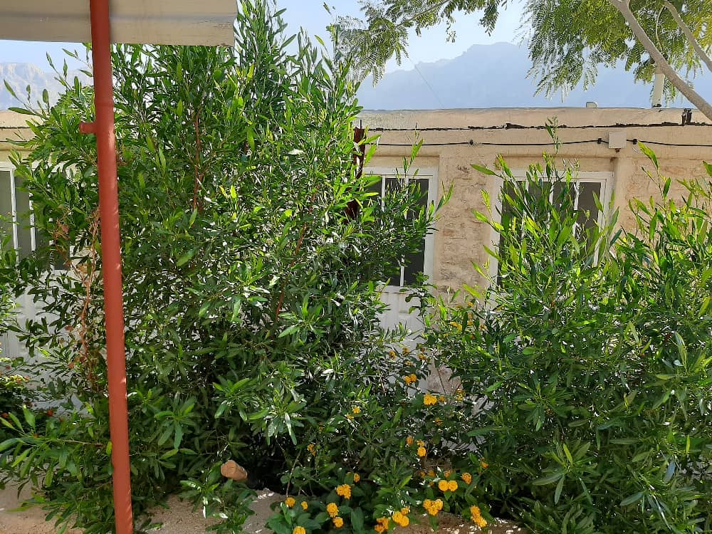 اجاره اتاق سنتی در تنگ چوگان کازرون