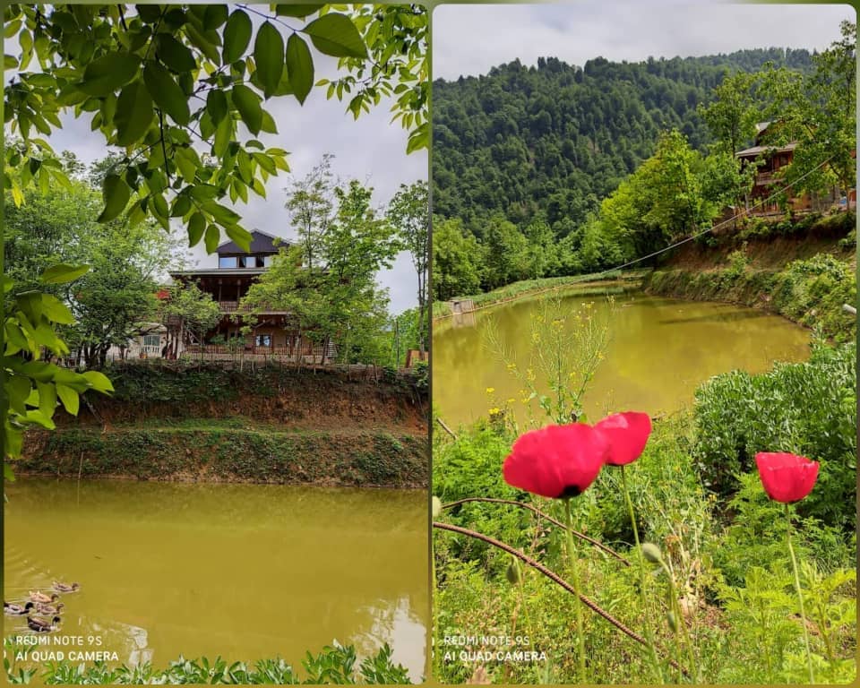 اجاره کلبه چوبی جنگلی در درودخان شفت - تلارخانه