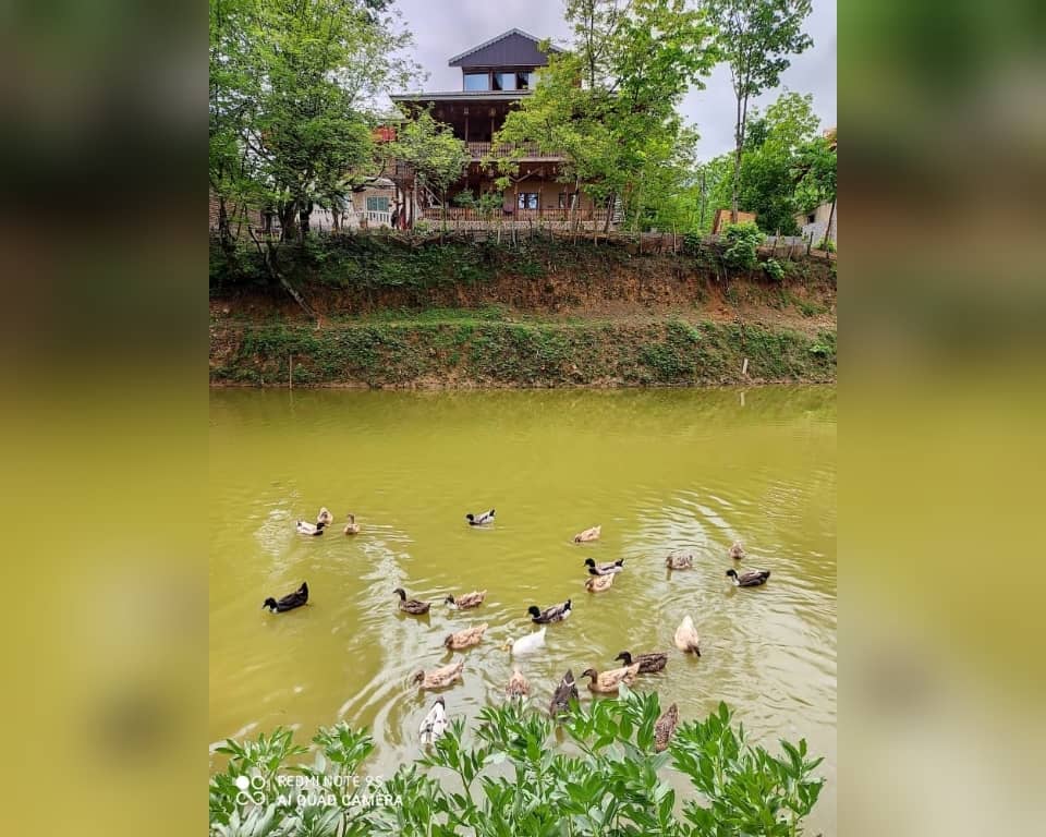 اجاره اقامتگاه بومگردی در درودخان شفت - شاه نشین