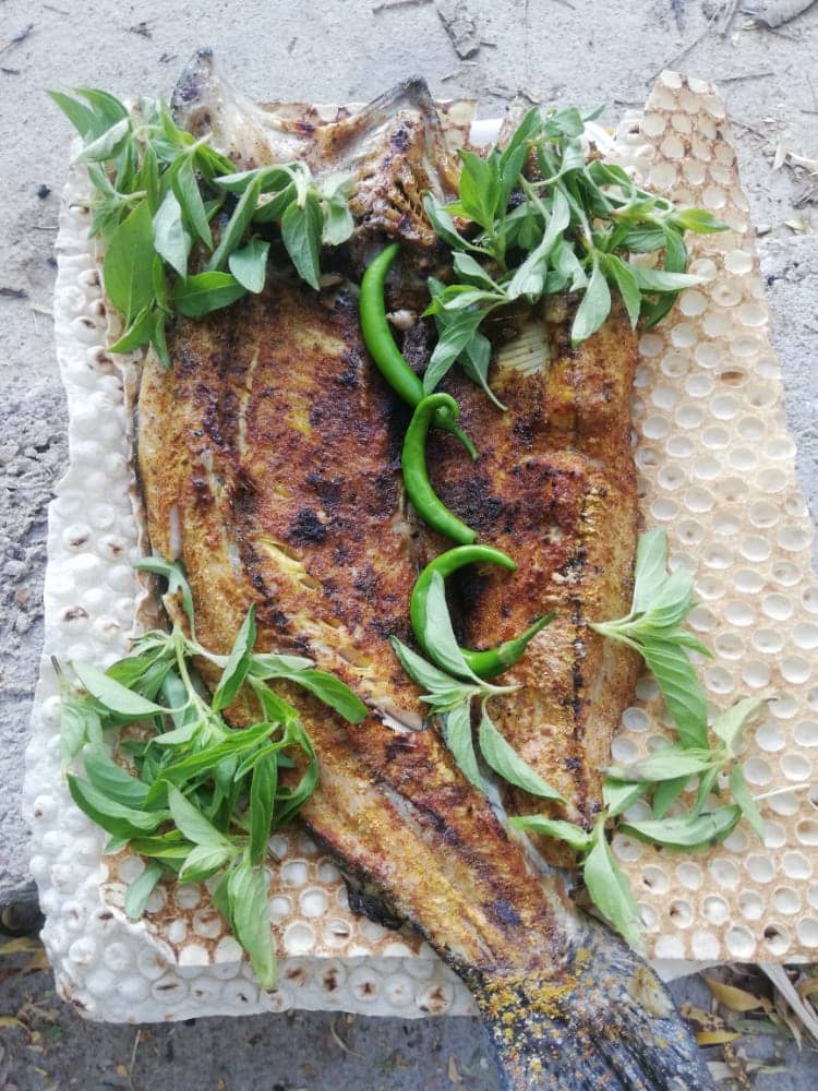 اجاره باغ تفریحی در مارگون سپیدان