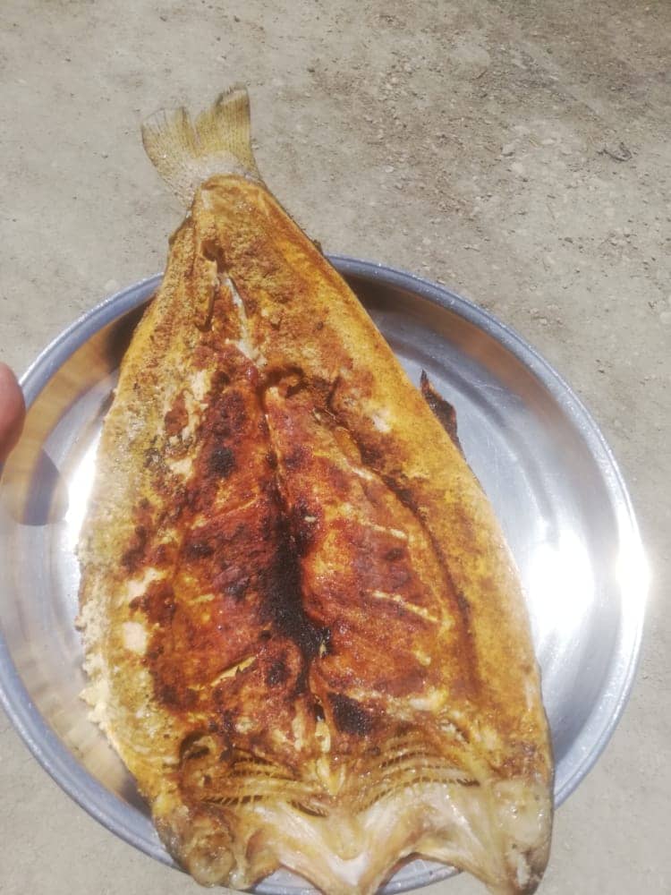 اجاره باغ تفریحی در مارگون سپیدان