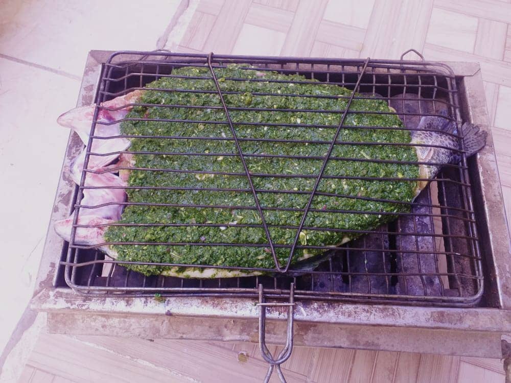 اجاره باغ تفریحی در مارگون سپیدان