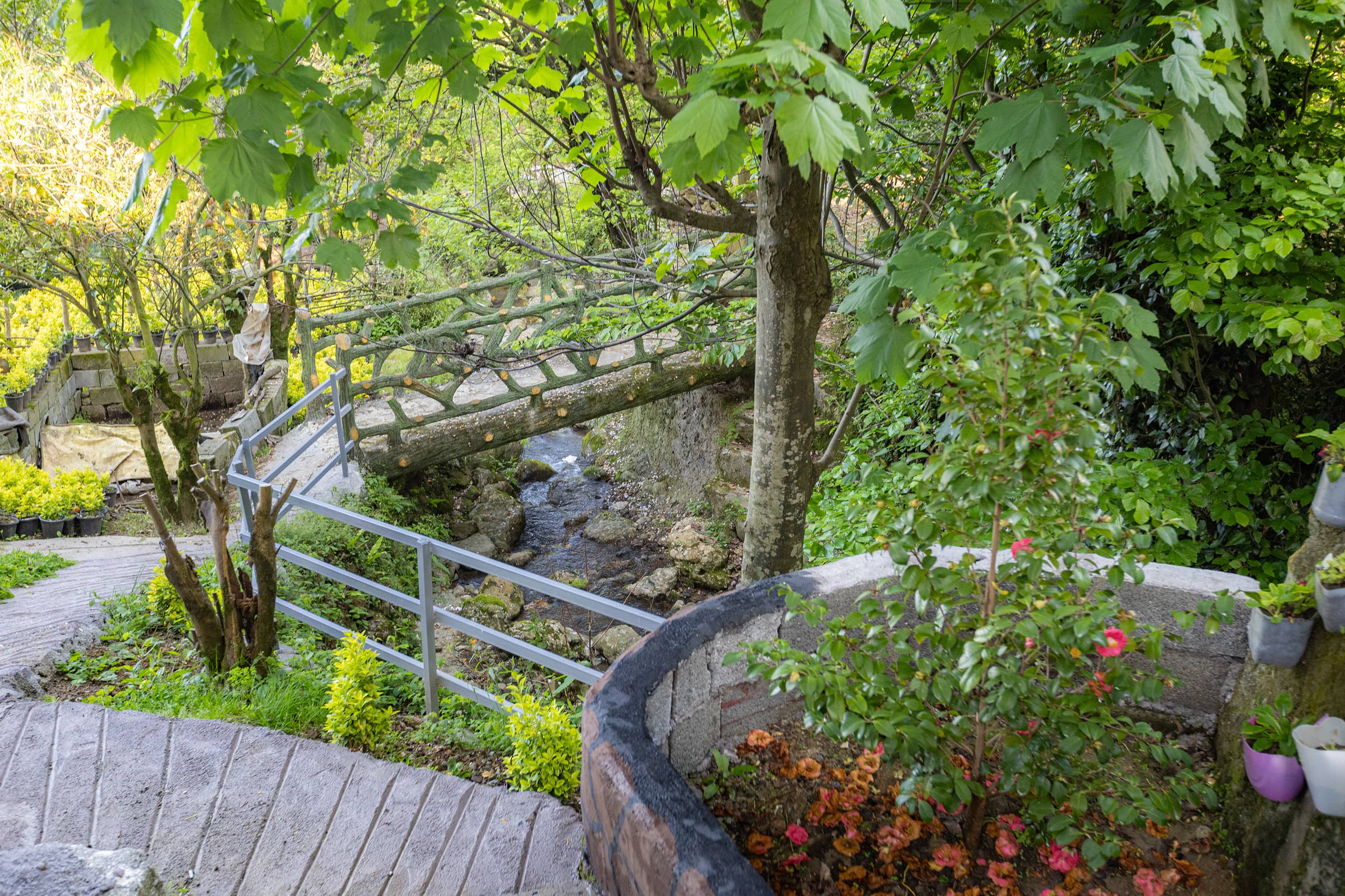 اجاره منزل ویلایی لب رودخانه رامسر