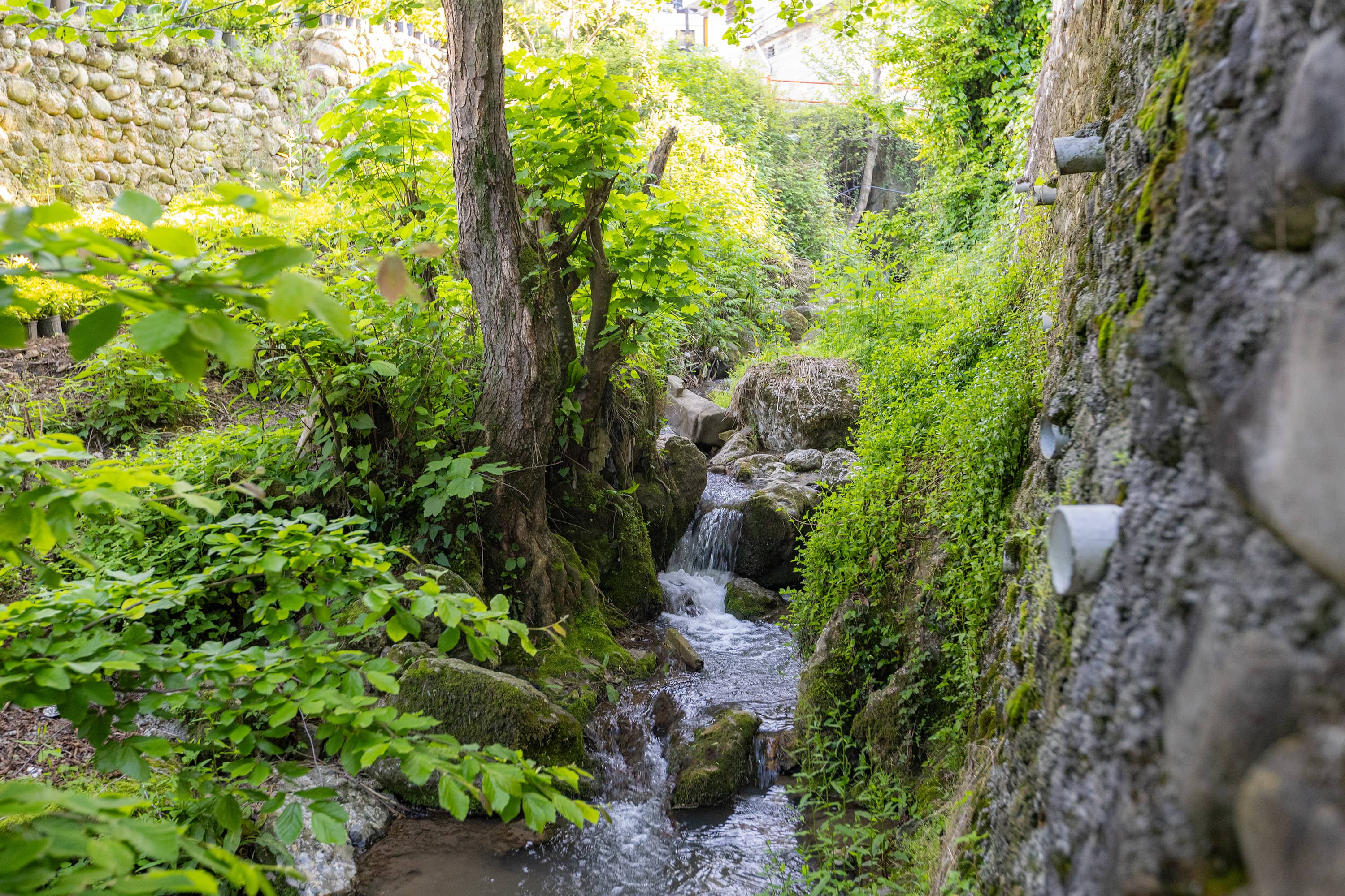 اجاره منزل ویلایی لب رودخانه رامسر
