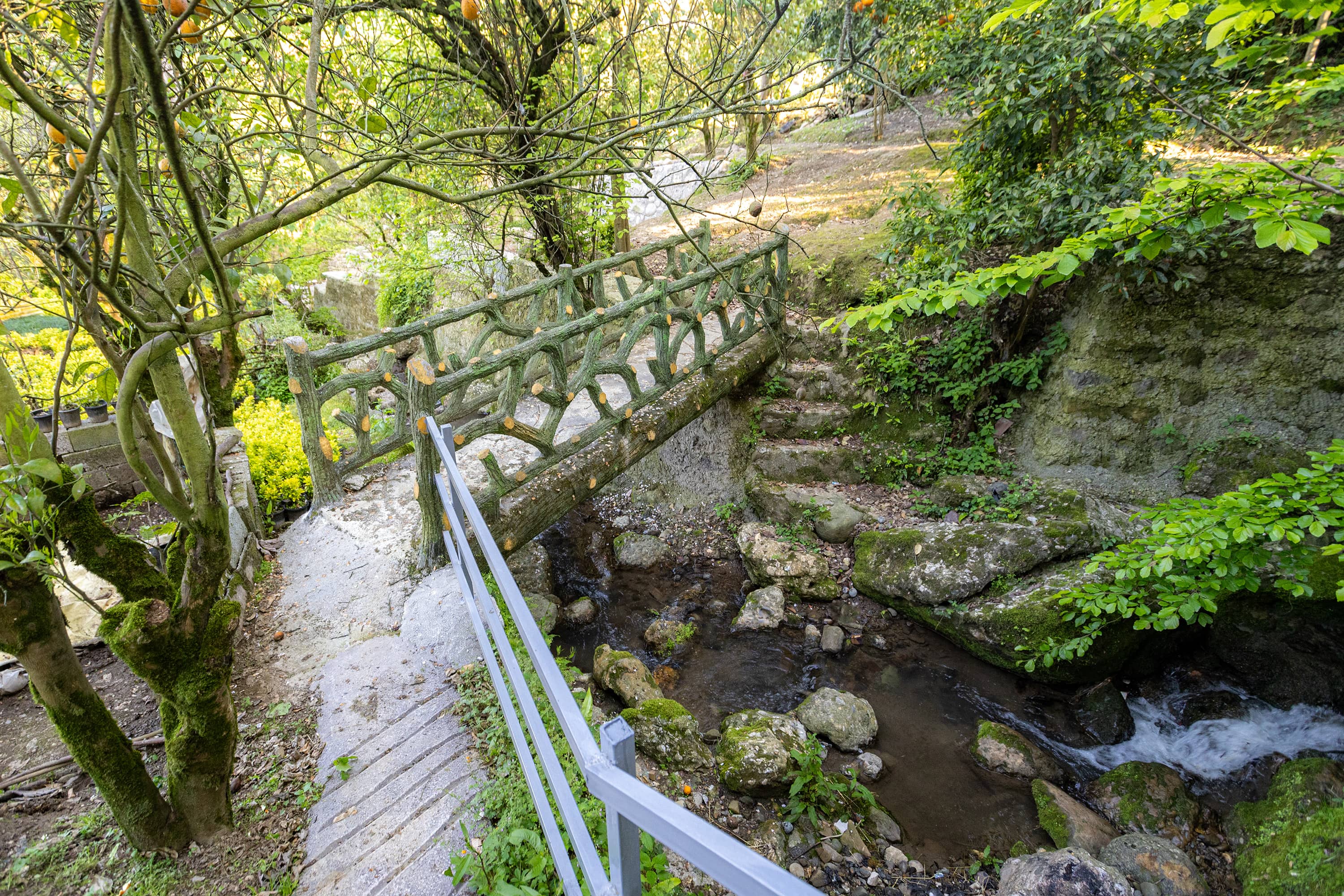اجاره منزل ویلایی لب رودخانه رامسر