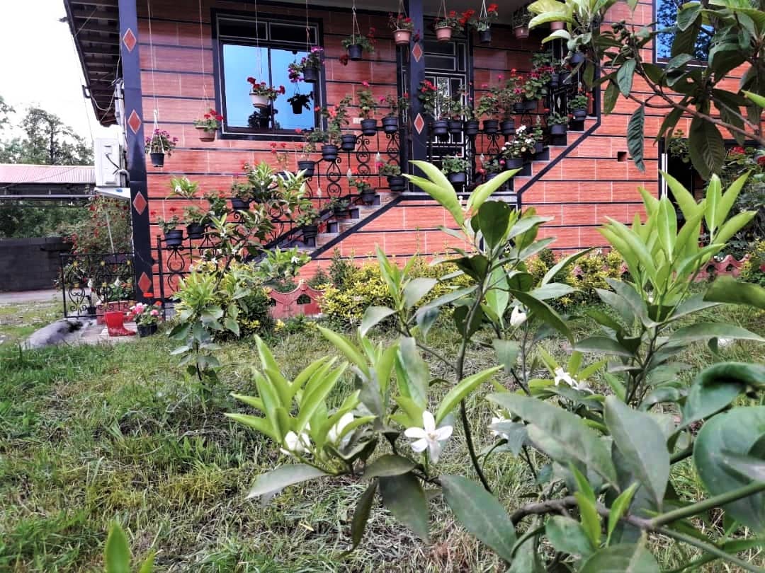 اجاره ویلا تراس دار در جاده اسالم به خلخال 