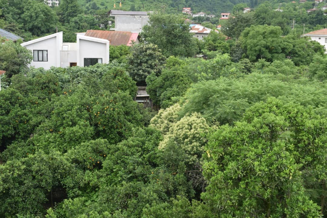 اجاره ویلا با استخر سرپوشیده در منتظری رامسر