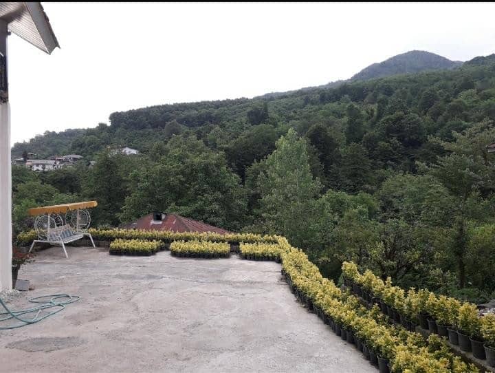 اجاره ویلا دوخواب جنگلی در سورخانی رامسر