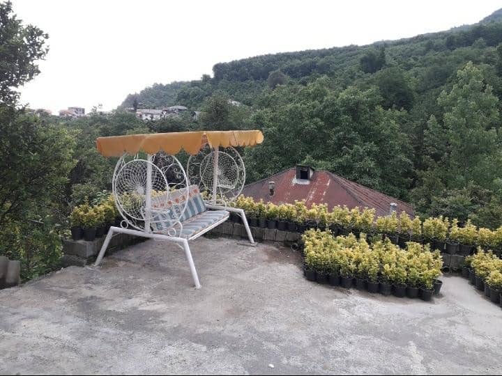 اجاره ویلا دوخواب جنگلی در سورخانی رامسر