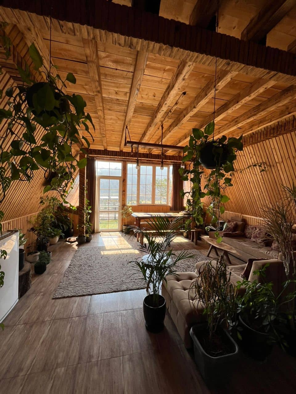 اجاره کلبه سوئیسی جنگلی جکوزی دار در روستای لیپا - ماسال