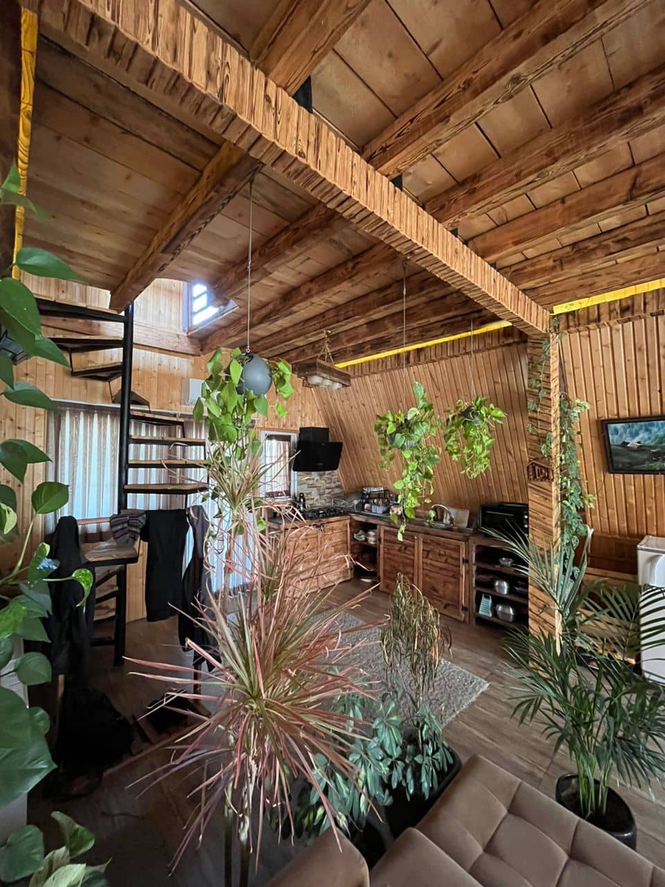 اجاره کلبه سوئیسی جنگلی جکوزی دار در روستای لیپا - ماسال