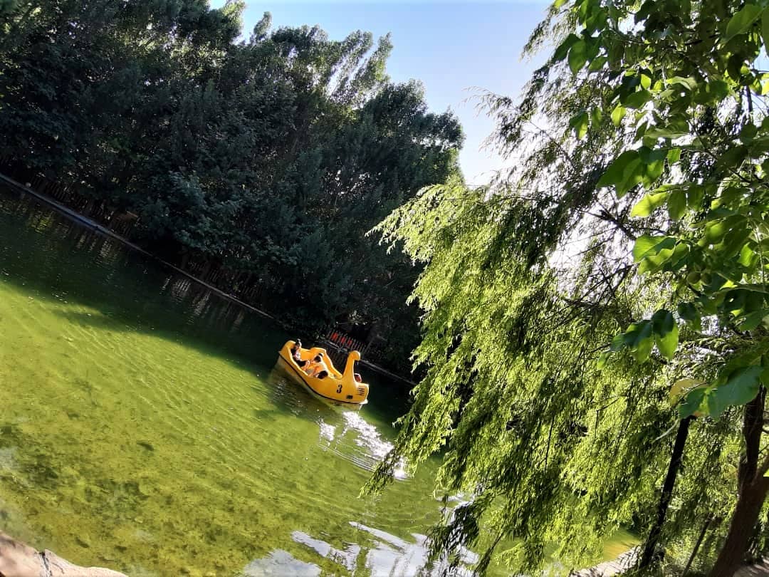 اجاره سوئیت مبله55 متری  در کمهر سپیدان - 4