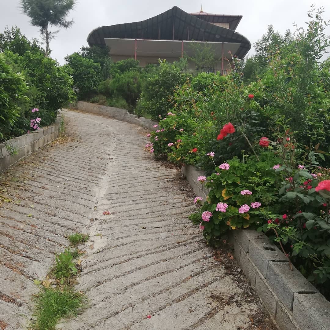 اجاره ویلا جنگلی در روستای واسکس -قائم شهر - دنج هزارون