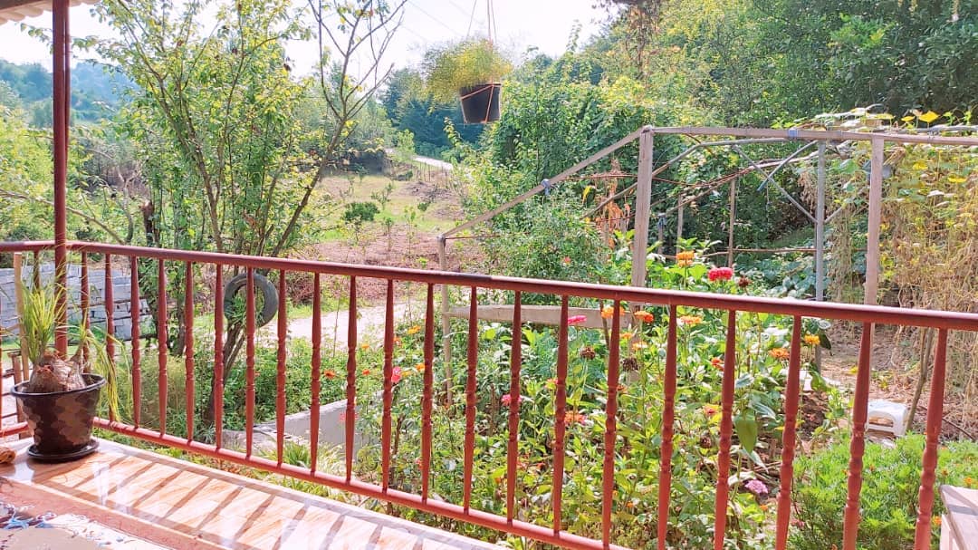 اجاره  ویلا جنگلی در روستای واسکس -قائم شهر - ویلا چشمه