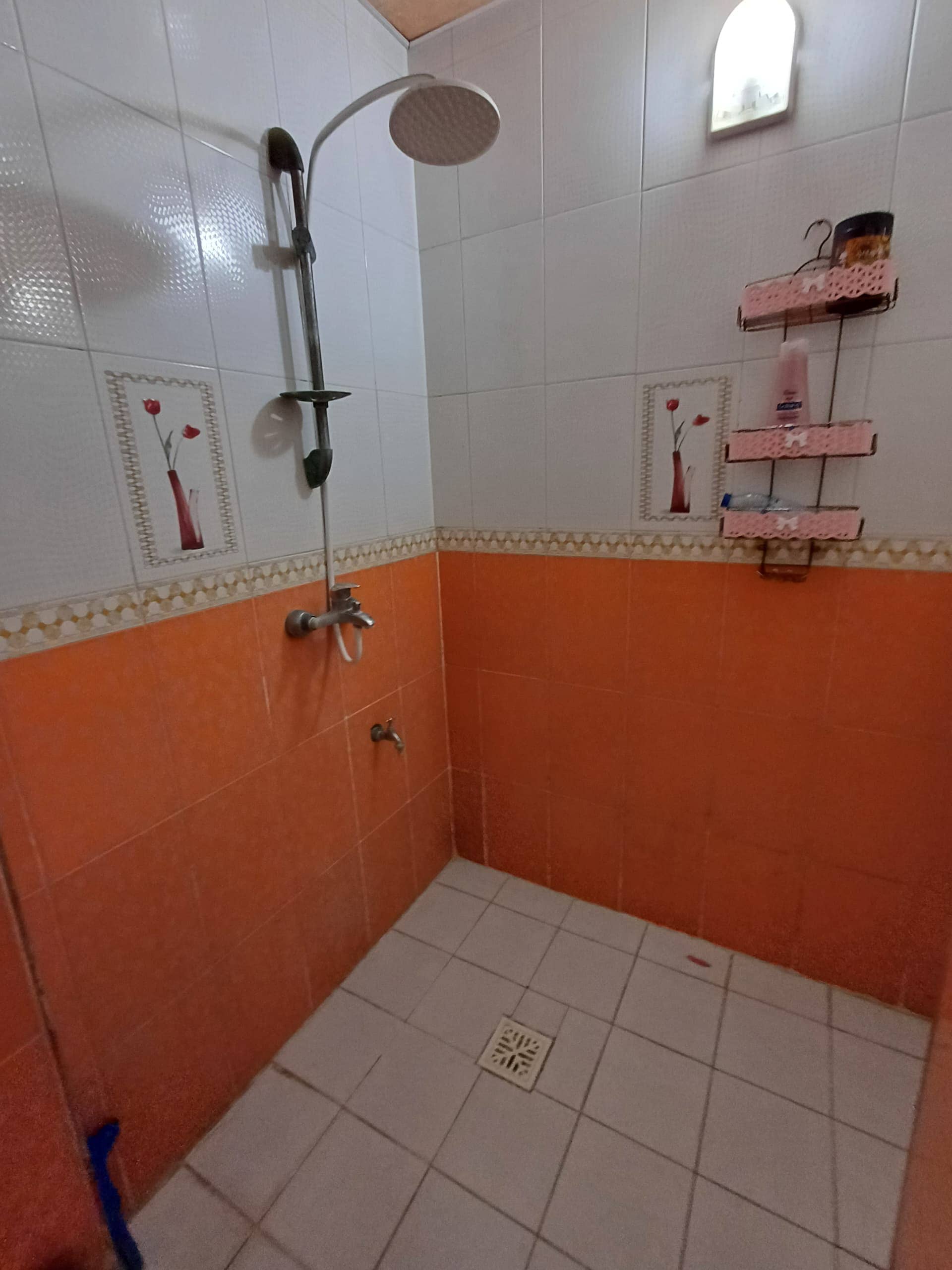 اجاره آپارتمان مبله در بندر گناوه