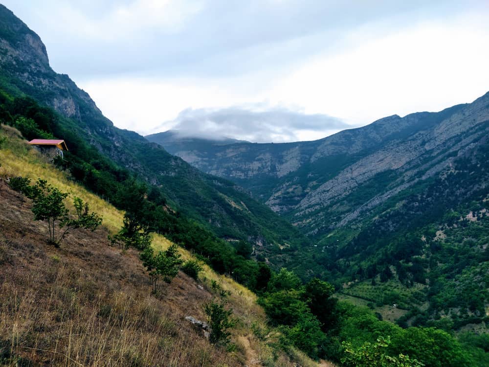 اجاره کلبه جنگلی در تازه آباد رودسر - گیلان